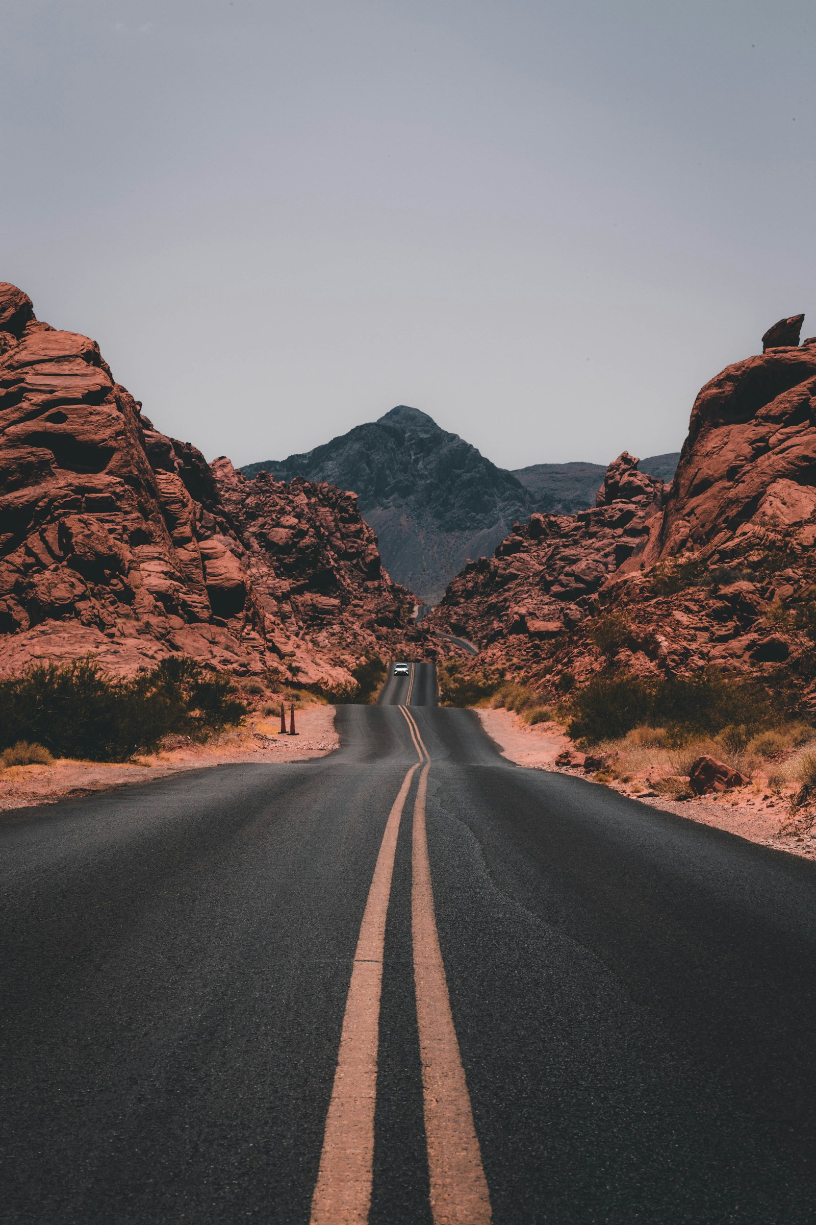 Lifestyle and professional photography supporting travel insurance